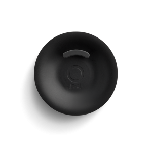 Series 1 Backflush Disc